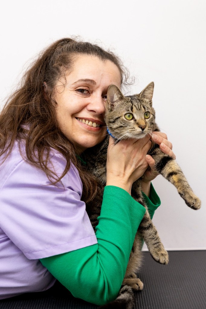 Tehnician veterinar Carmen Pișcoci cu o pisică tigrată in brațe.