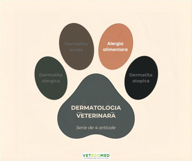 Alergia, intoleranta si reactiile adverse alimentare