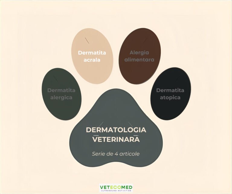 Dermatita acrala/ Linsul excesiv al labutelor