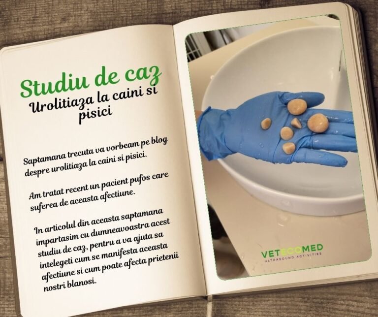 Studiu de caz – Urolitiaza la caini si pisici