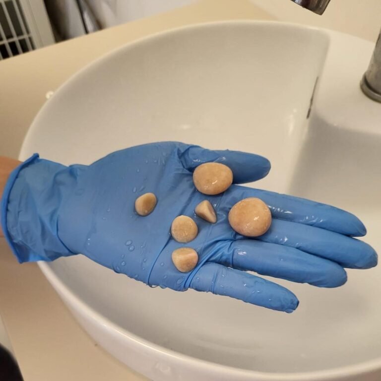 Urolitiaza la caini si pisici